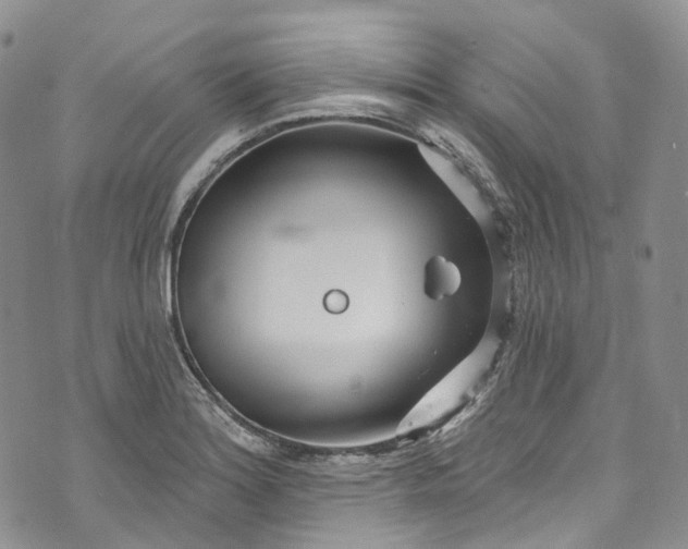 X0000072991180200608041300