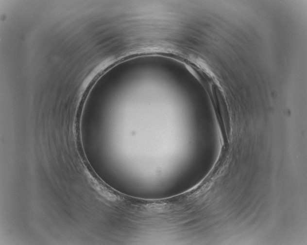 X0000072991181200608041300