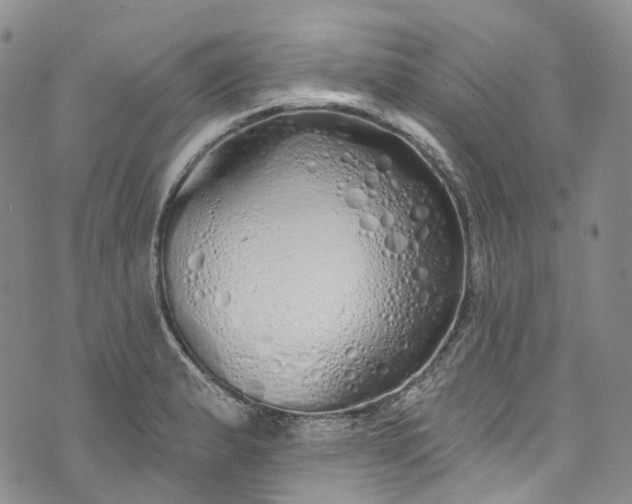 X0000072991183200608041300