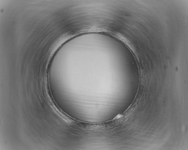 X0000072991187200608041300