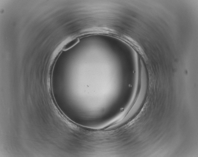 X0000072991188200608041300