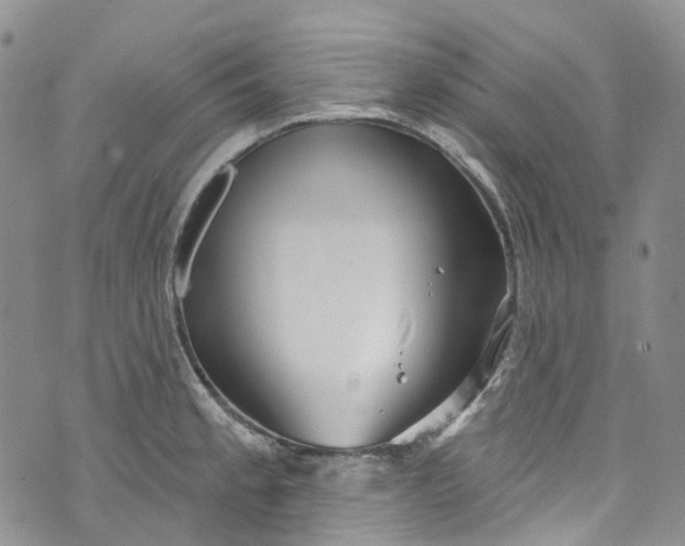 X0000072991189200608041300