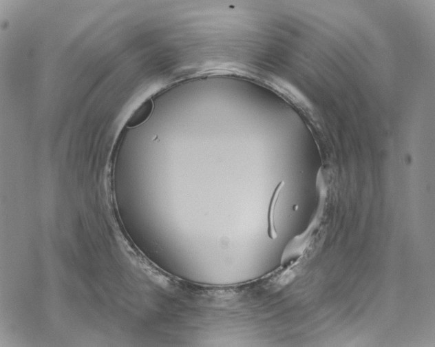 X0000072991190200608041300