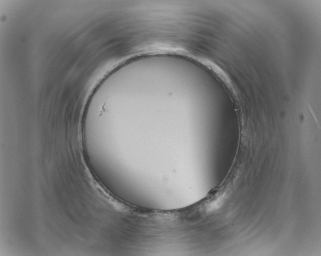 X0000072991191200608041300