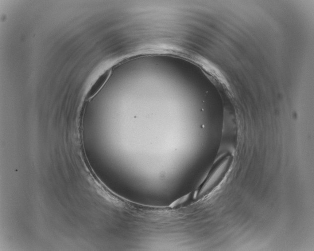 X0000072991192200608041300