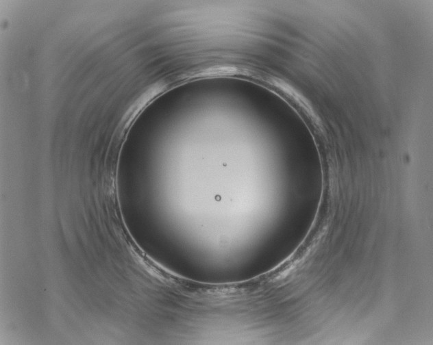 X0000072991193200608041300