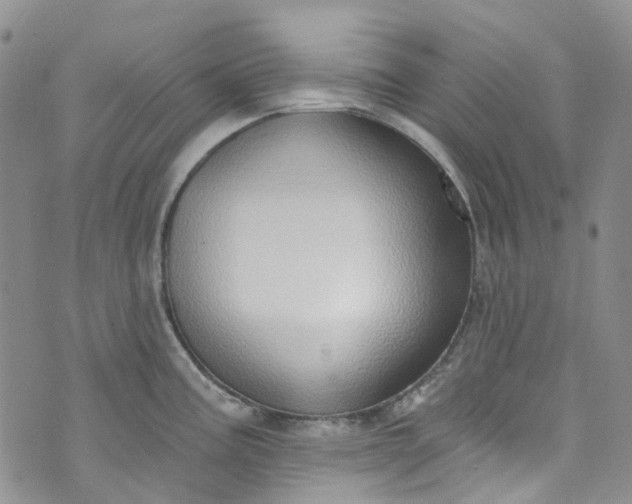 X0000072991195200608041300