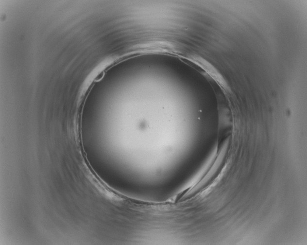 X0000072991196200608041300