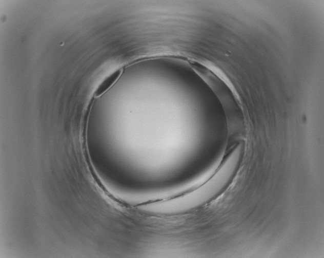 X0000072991197200608041300