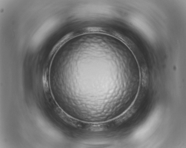 X0000072991198200608041300