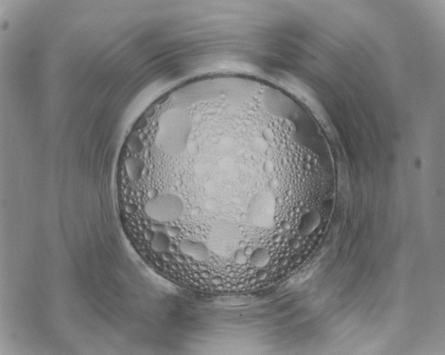 X0000072991199200608041300