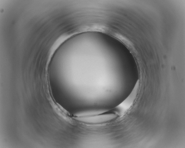 X0000072991200200608041300