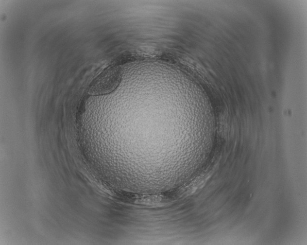 X0000072991201200608041259