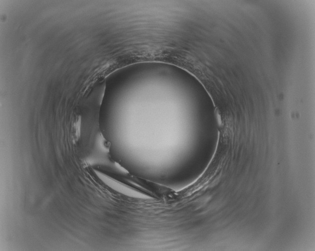 X0000072991202200608041259