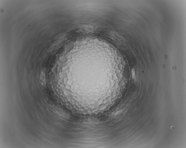 X0000072991203200608041259