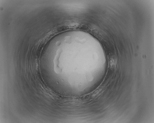 X0000072991204200608041259