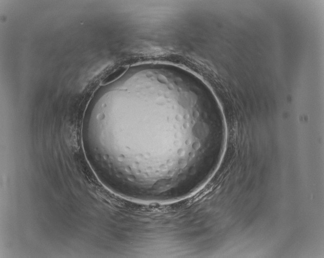 X0000072991205200608041259