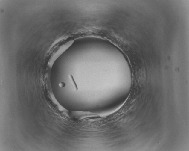 X0000072991206200608041259