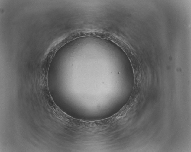 X0000072991207200608041259