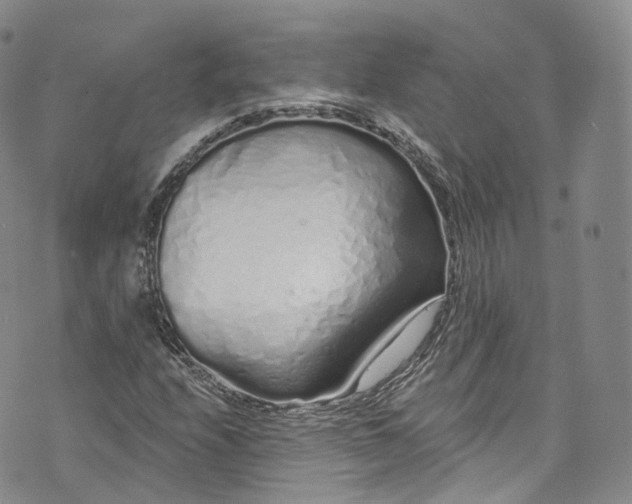 X0000072991208200608041300