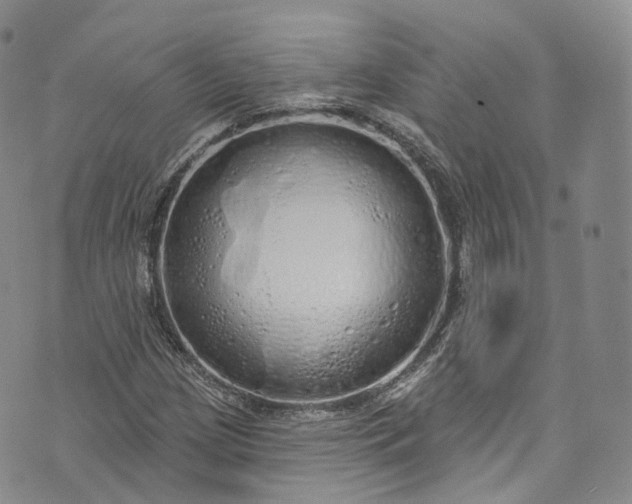 X0000072991209200608041300