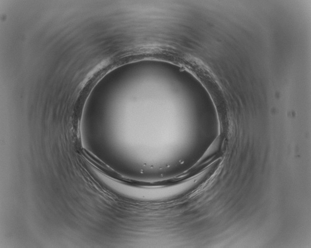 X0000072991210200608041300