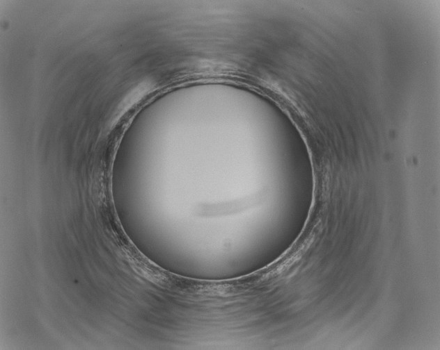 X0000072991211200608041300