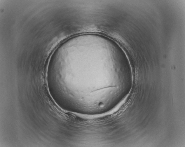 X0000072991212200608041300