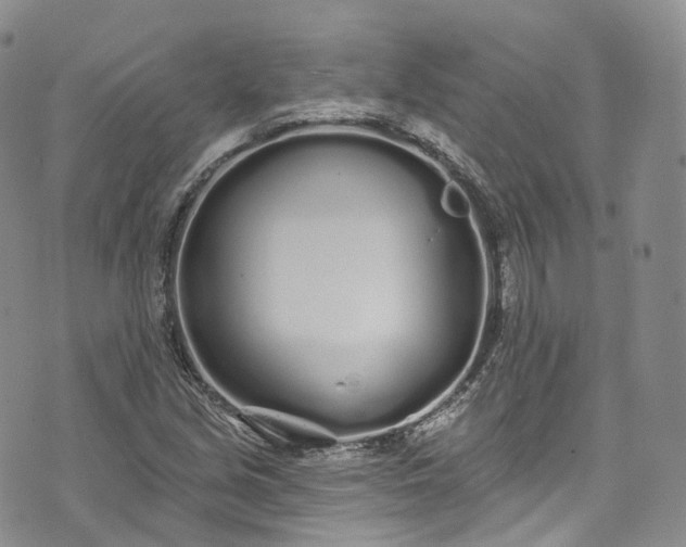 X0000072991213200608041300