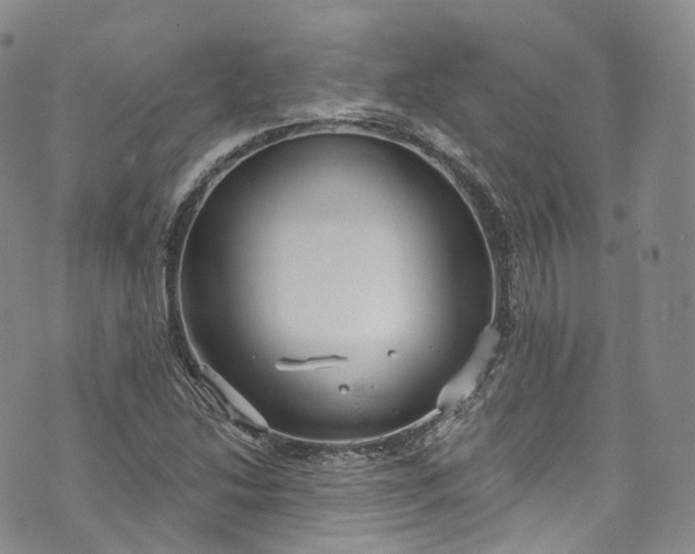 X0000072991214200608041300