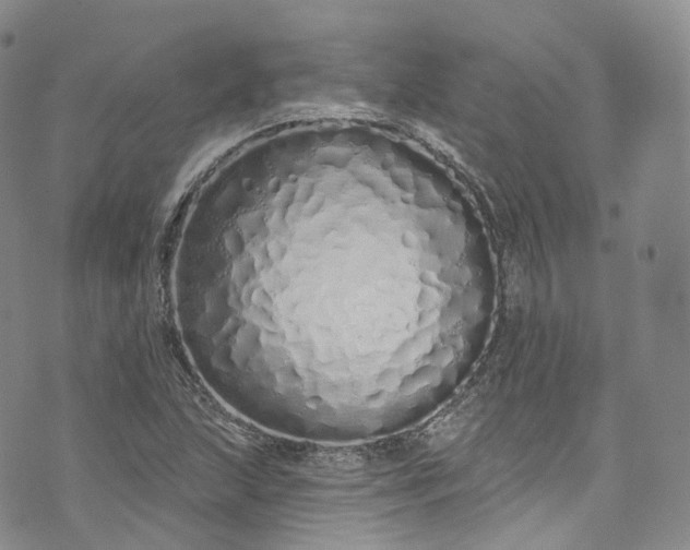 X0000072991215200608041300