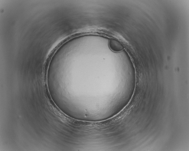 X0000072991216200608041300