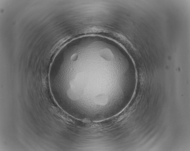 X0000072991217200608041300