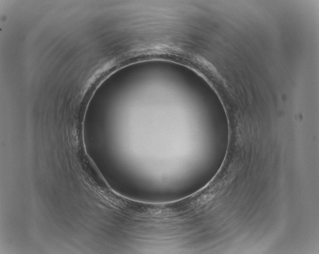 X0000072991218200608041300