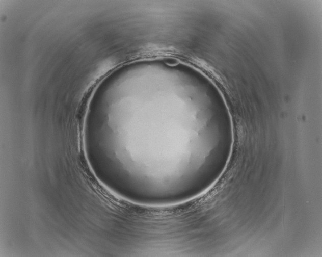 X0000072991219200608041300