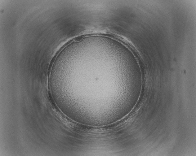 X0000072991220200608041300