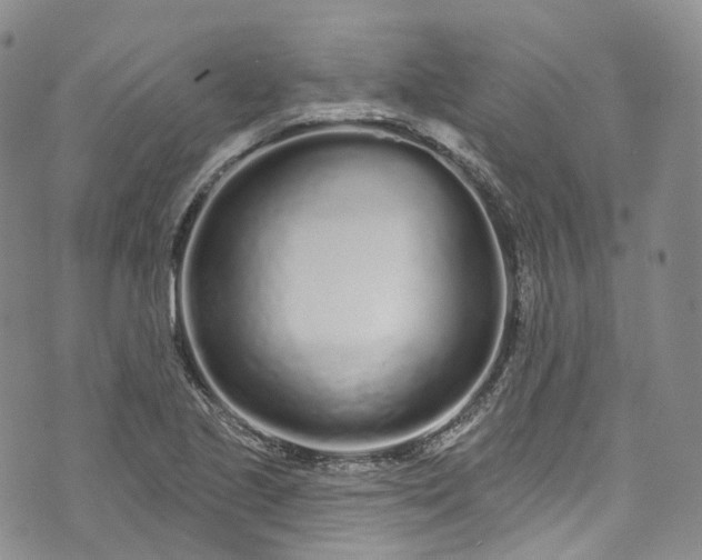 X0000072991221200608041300