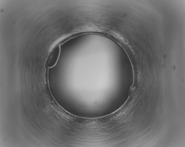 X0000072991222200608041300