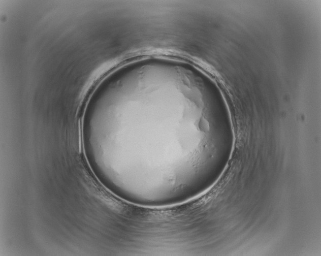 X0000072991223200608041300