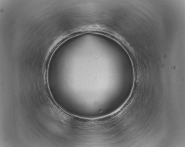 X0000072991224200608041300