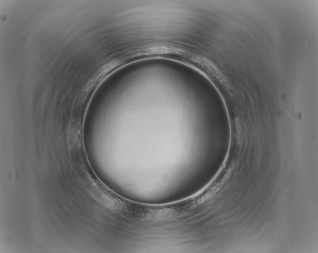 X0000072991225200608041300