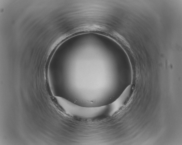 X0000072991226200608041300