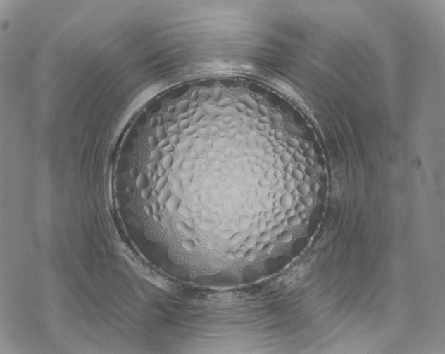 X0000072991227200608041300