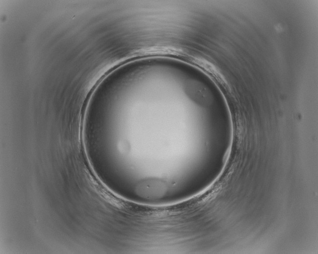 X0000072991228200608041300