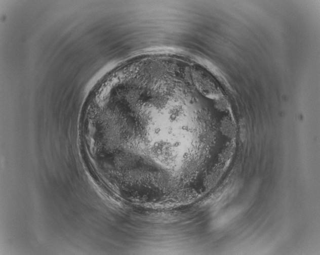 X0000072991229200608041300