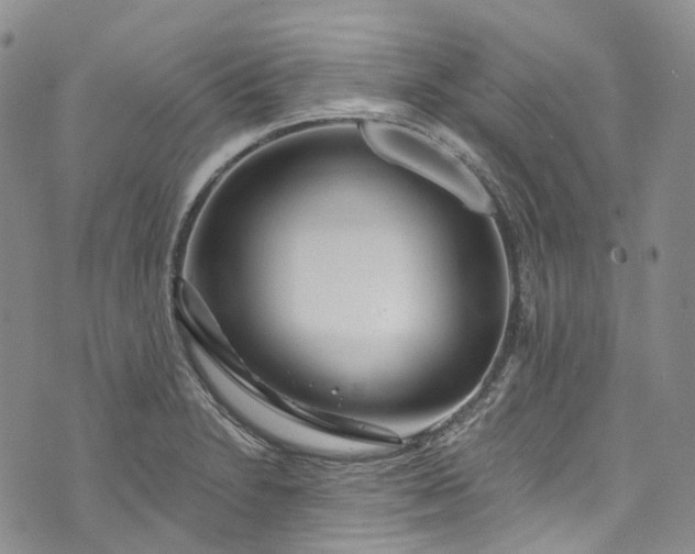 X0000072991230200608041300