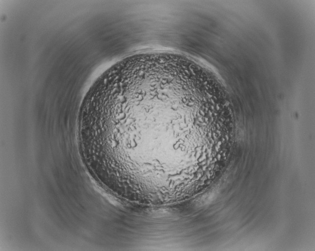 X0000072991231200608041300