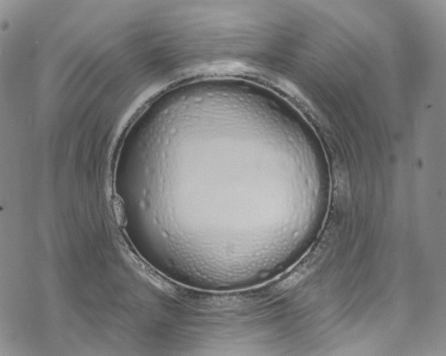 X0000072991232200608041300