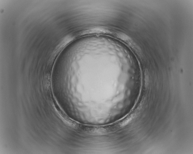 X0000072991233200608041300