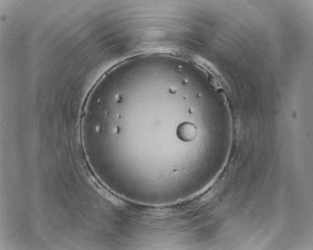 X0000072991236200608041300